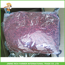 Extrémité de Goji Berry séchée en Chine Goji Berry 500g grains / 50g En sac 5kg 20kg Carton